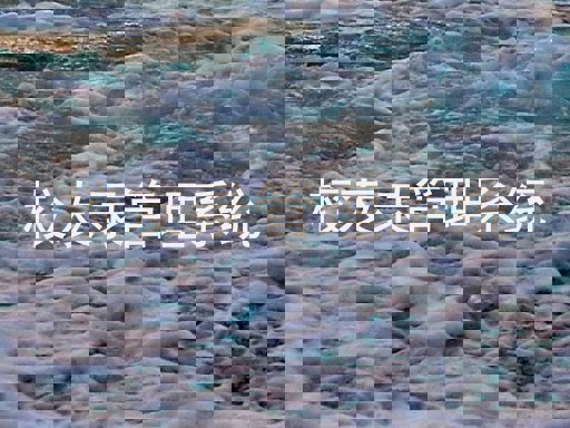 校友录管理系统