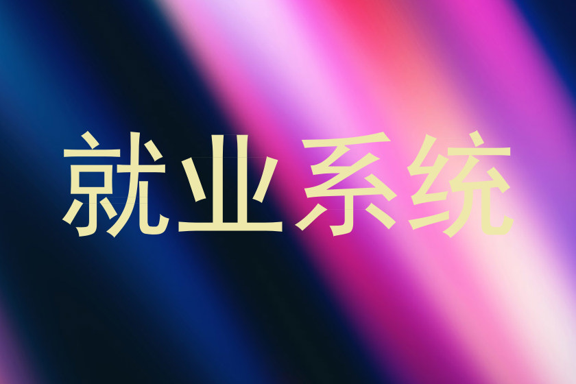 就业系统