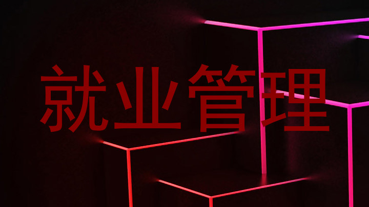 就业管理