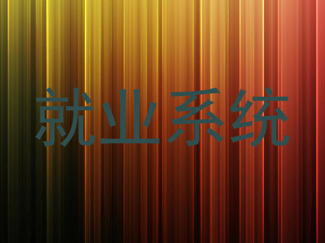 就业系统