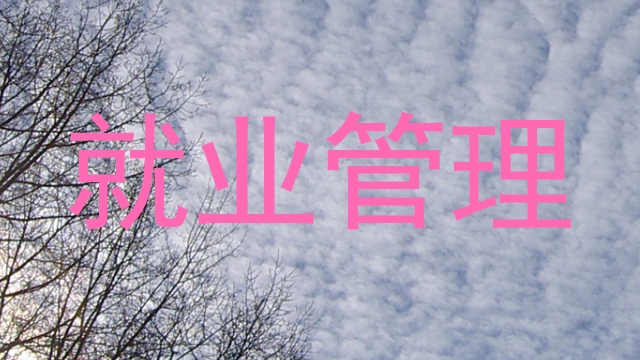 就业管理