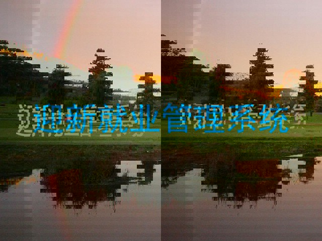 迎新就业管理系统