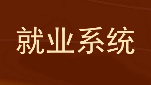 就业系统