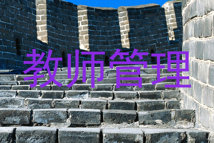 教师管理