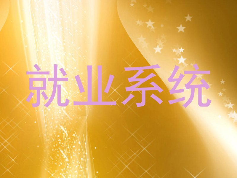 就业系统