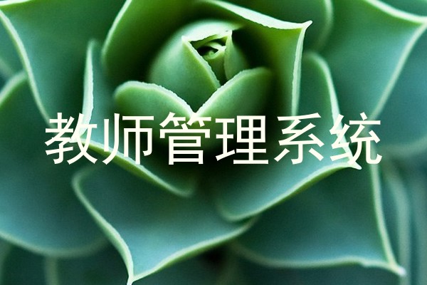 教师管理系统