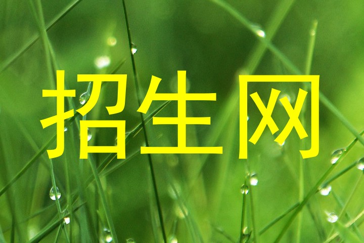 招生网
