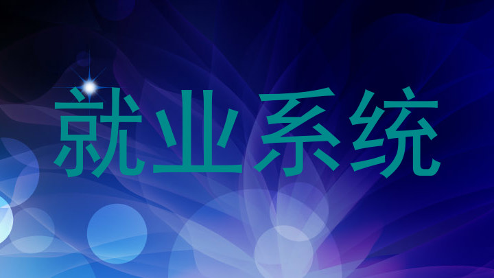 就业系统