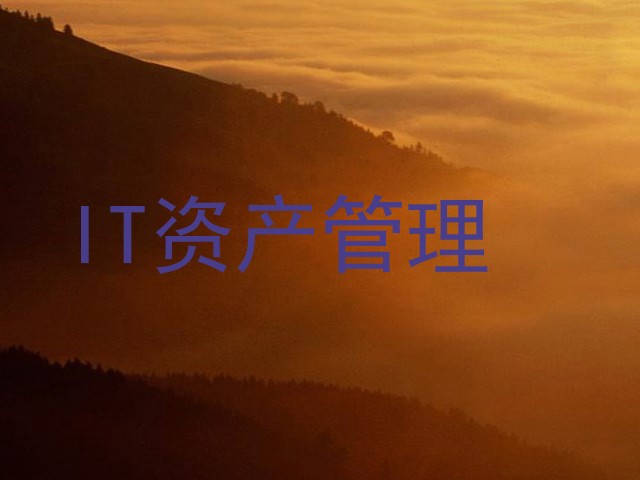 IT资产管理