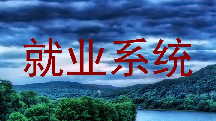 就业系统