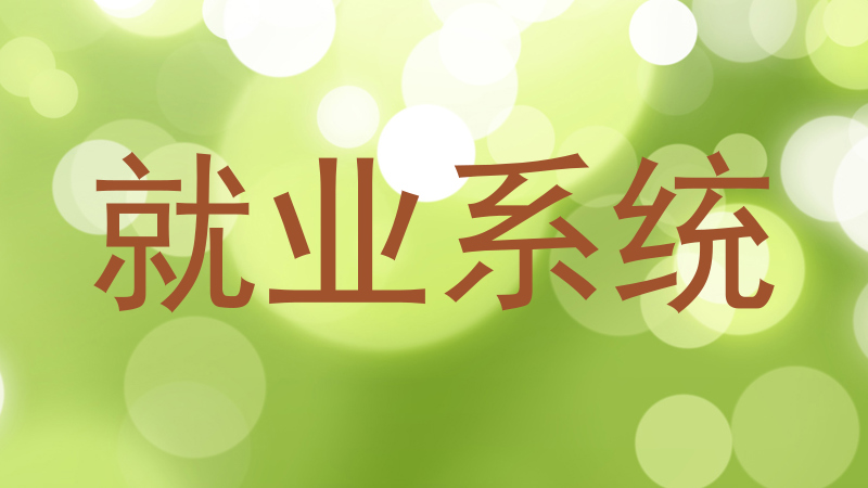 就业系统
