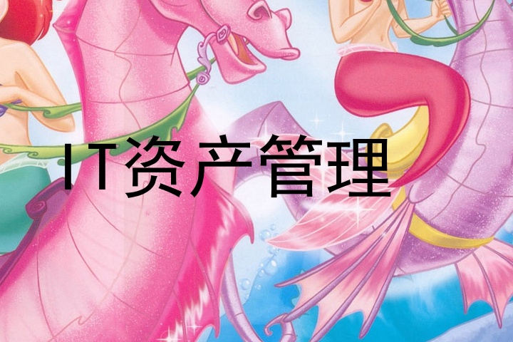 IT资产管理