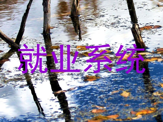 就业系统
