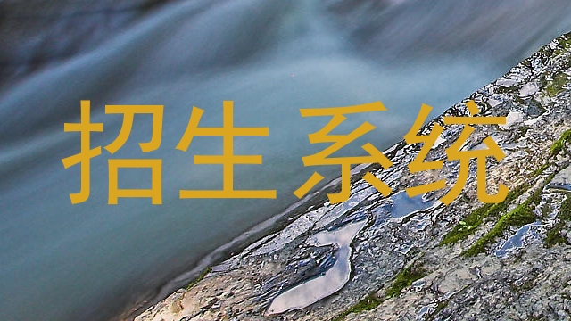 招生系统