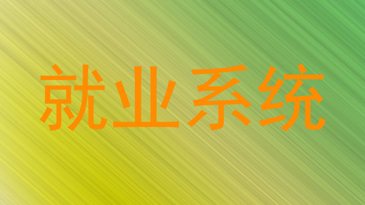 就业系统