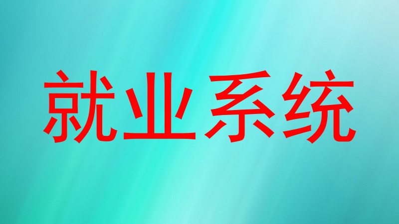 就业系统