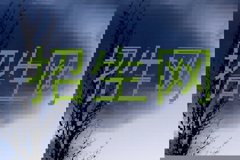 招生网
