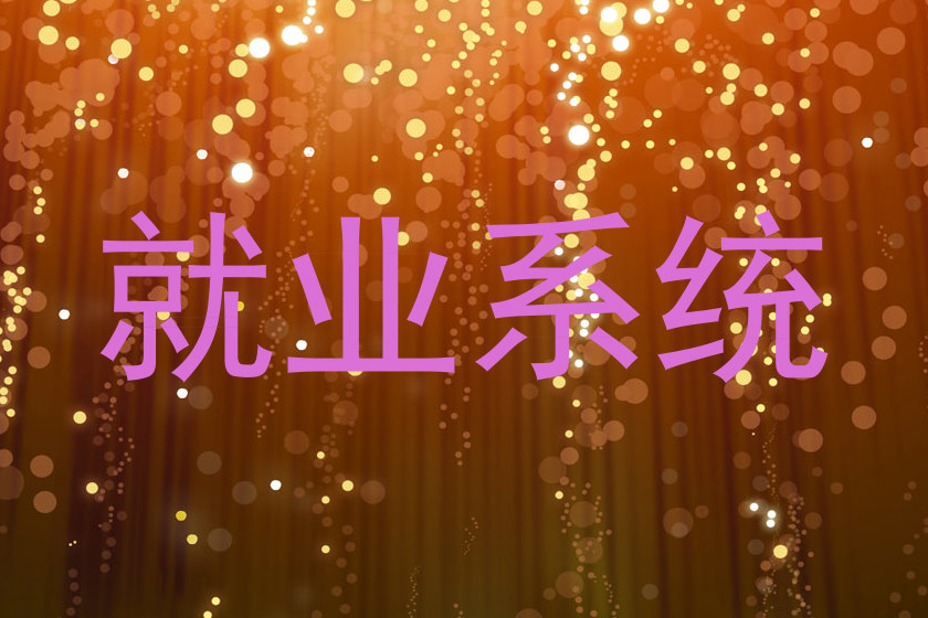 就业系统