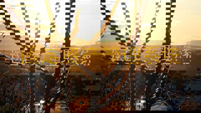 固定资产管理系统