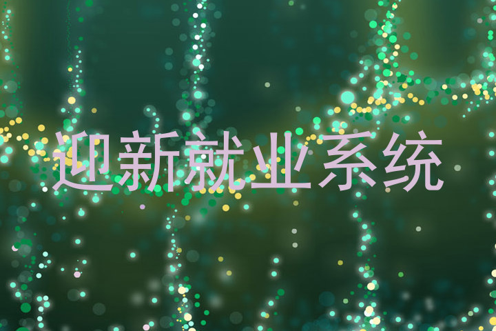 迎新就业系统