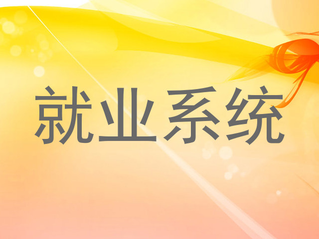 就业系统