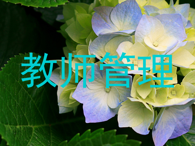 教师管理