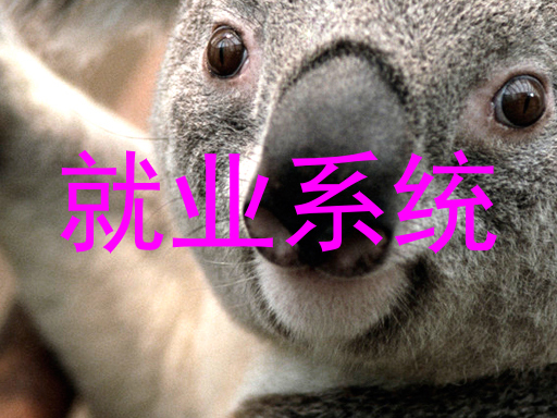 就业系统