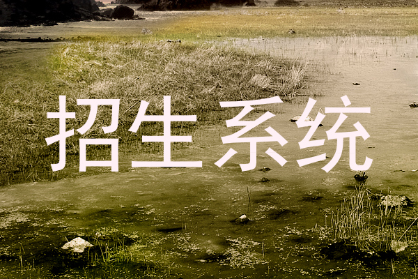 招生系统