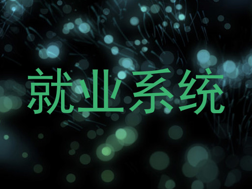 就业系统