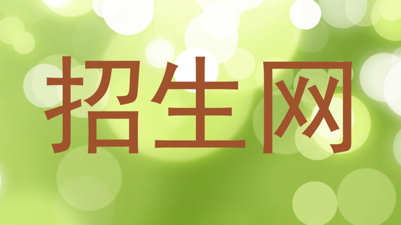 招生网