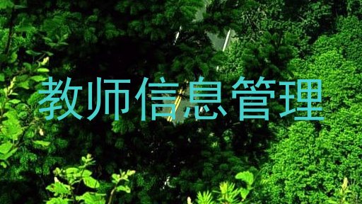 教师信息管理