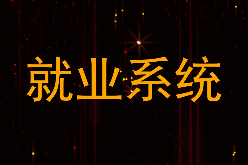 就业系统