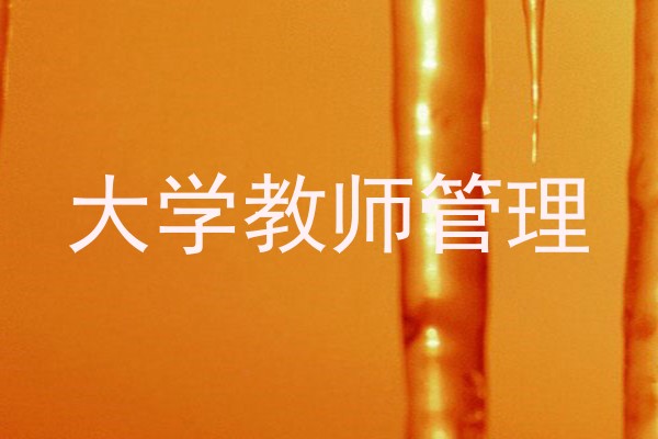 大学教师管理