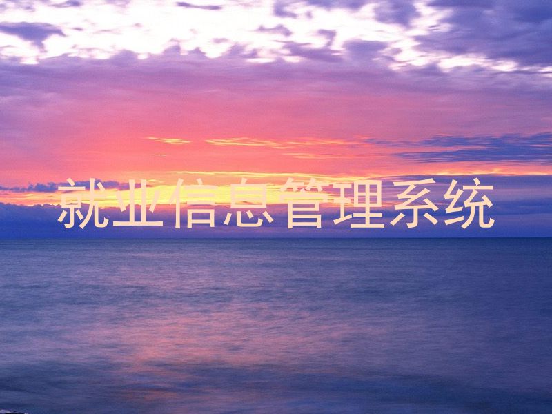 就业信息管理系统