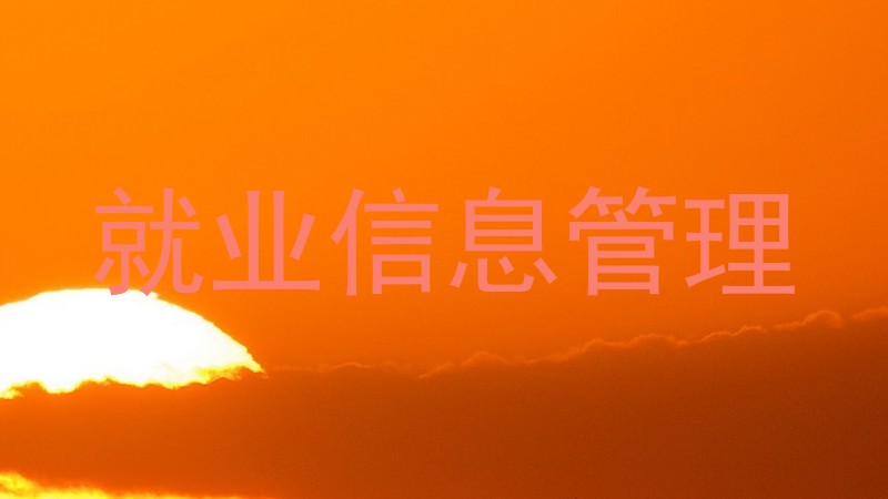 就业信息管理