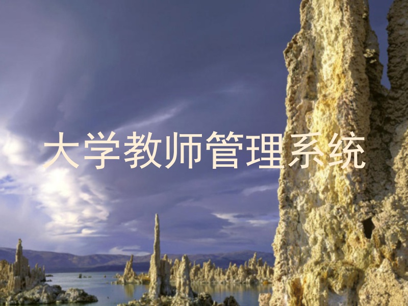 大学教师管理系统