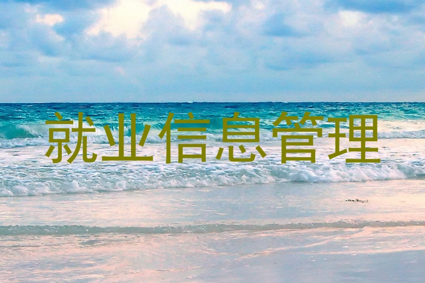 就业信息管理