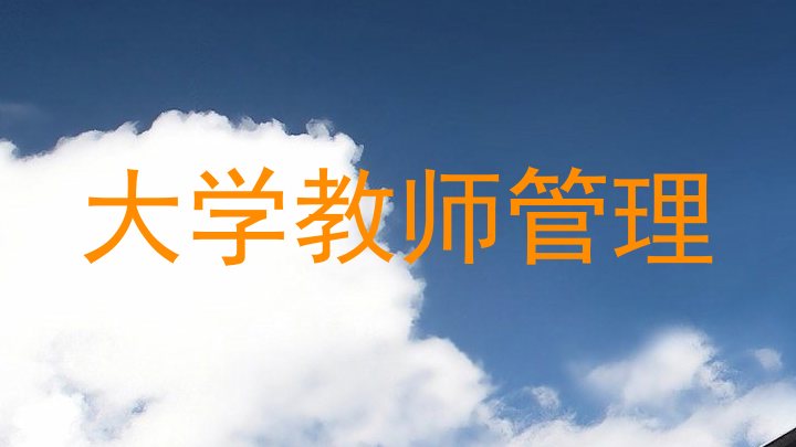 大学教师管理