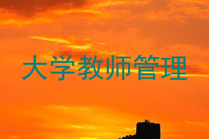 大学教师管理