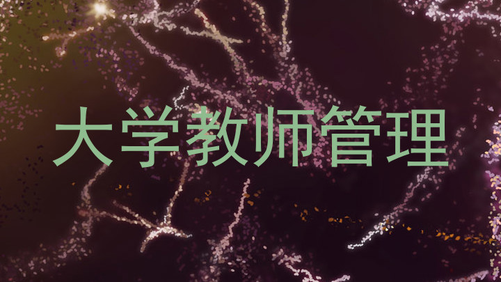 大学教师管理