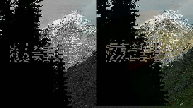 校友会管理平台