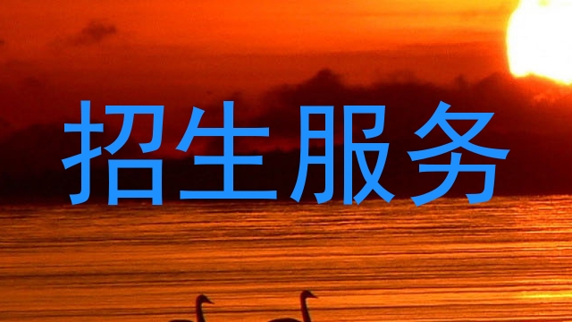 招生服务