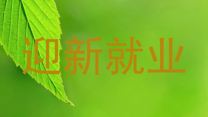 迎新就业