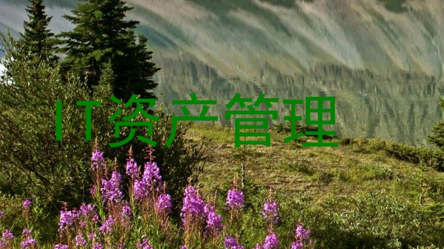 IT资产管理