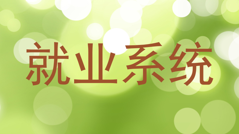 就业系统