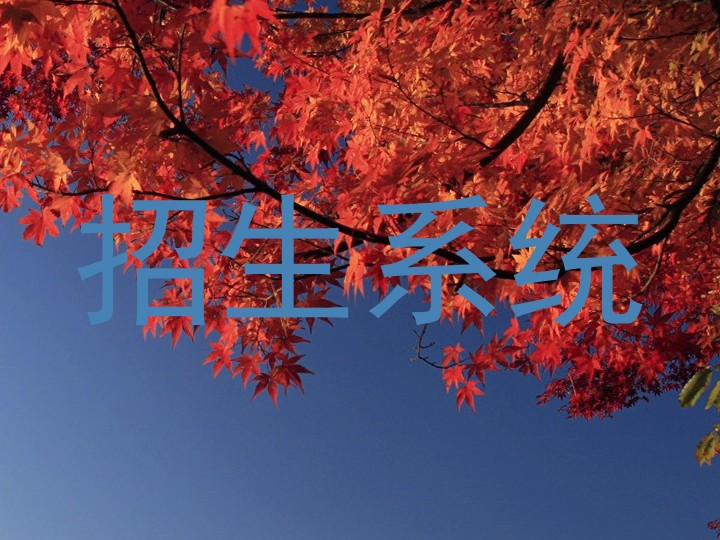 招生系统