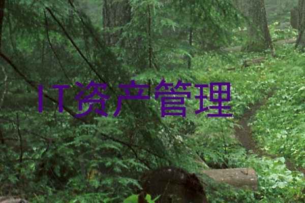 IT资产管理