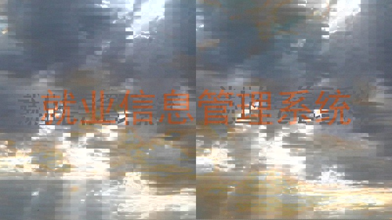 就业信息管理系统