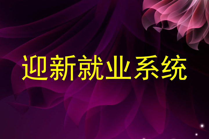 迎新就业系统