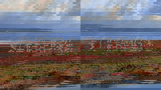 员工宿舍管理系统